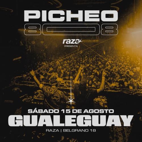 PICHEO 808