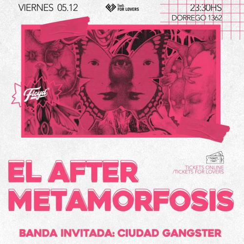 El After despide el año en floyd!