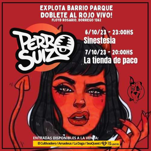 Perro Suizo Día 1