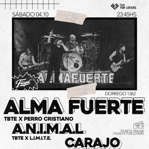 Noche de alma fuerte - Carajo - Animal en Floyd