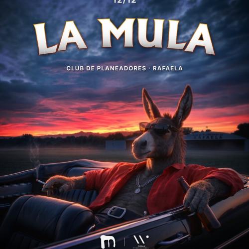 LA MULA AIRE LIBRE