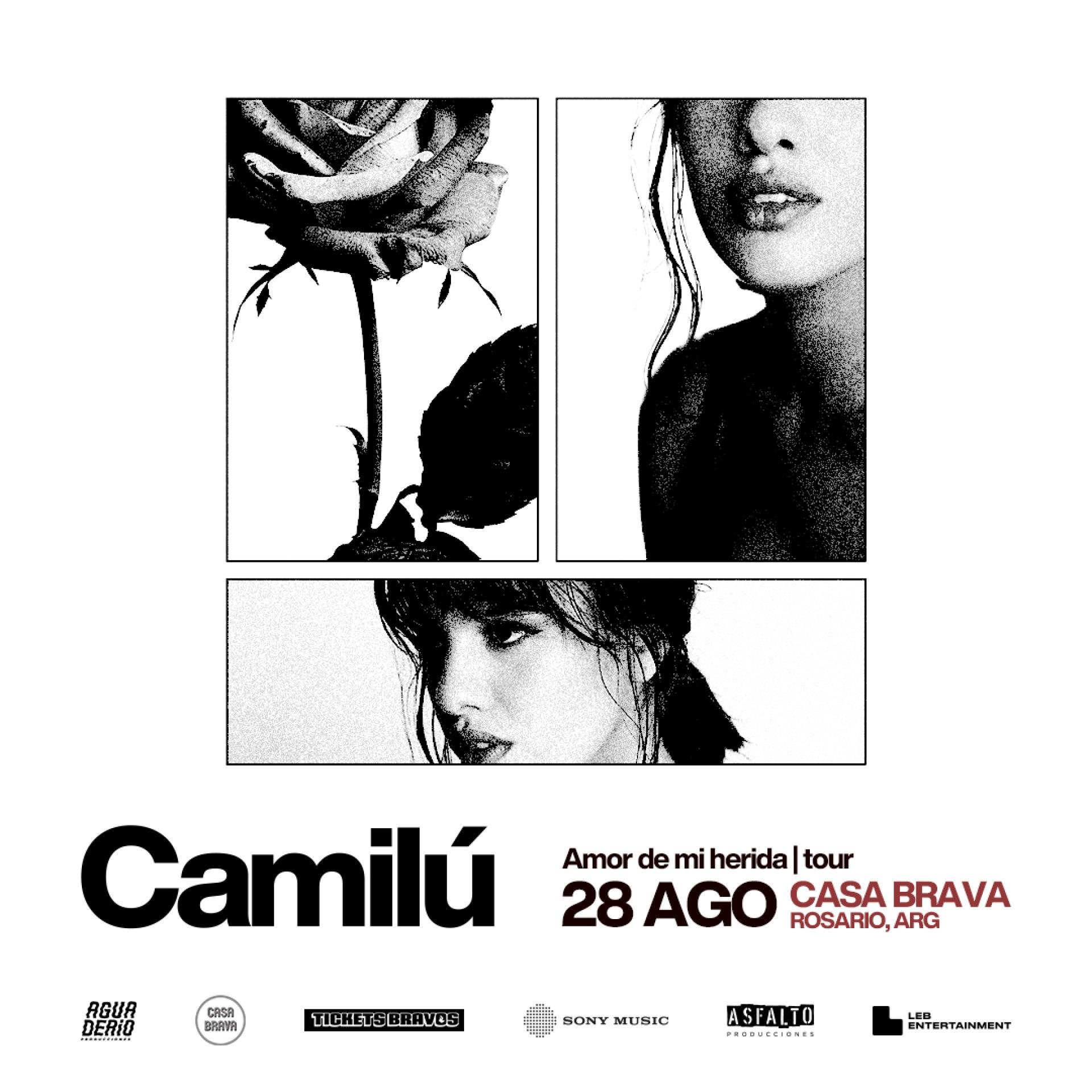 CAMILU EN CASA BRAVA