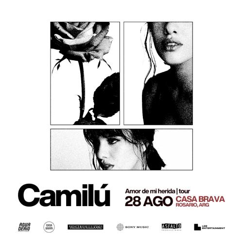 CAMILU EN CASA BRAVA