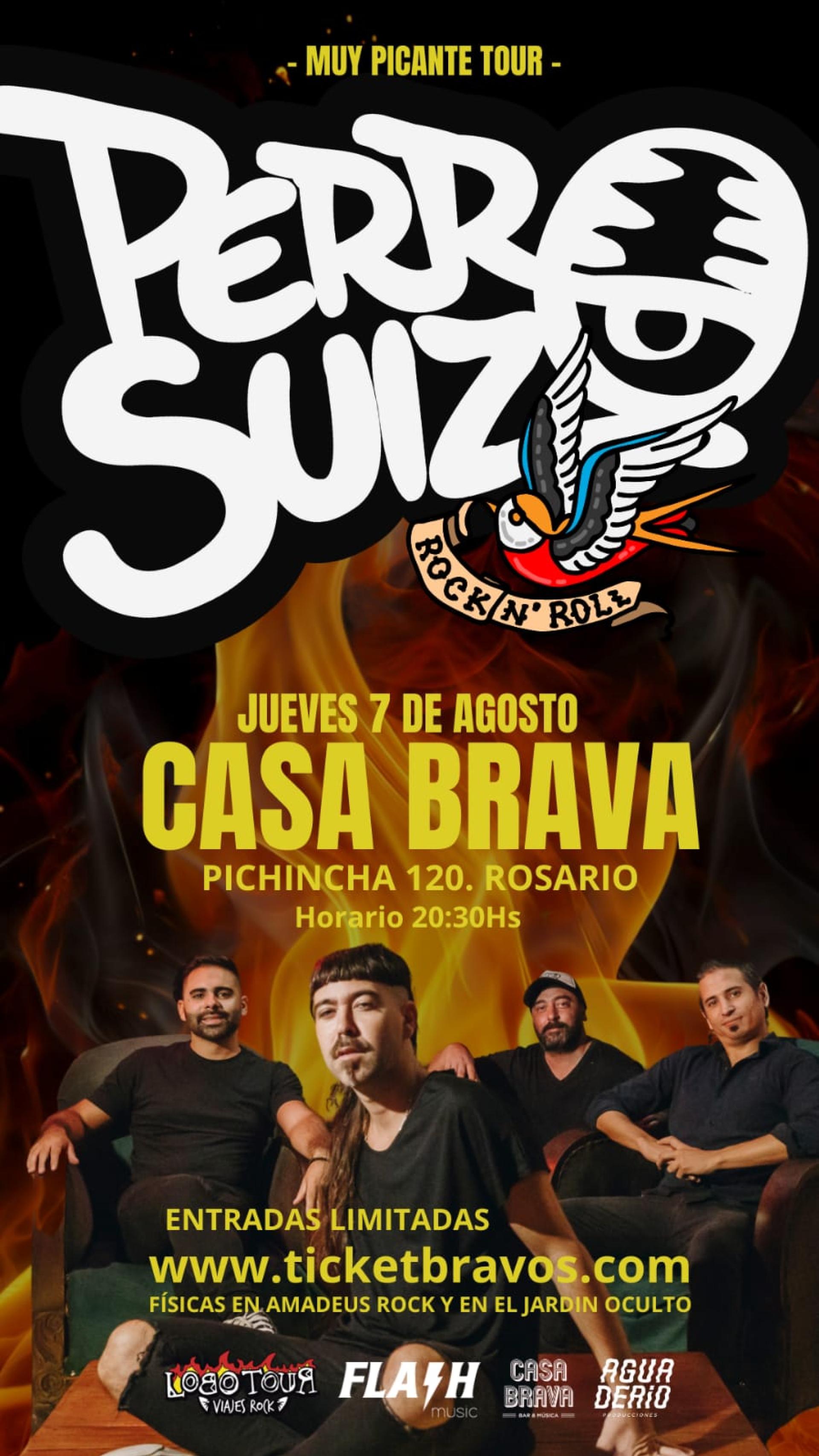 PERRO SUIZO
