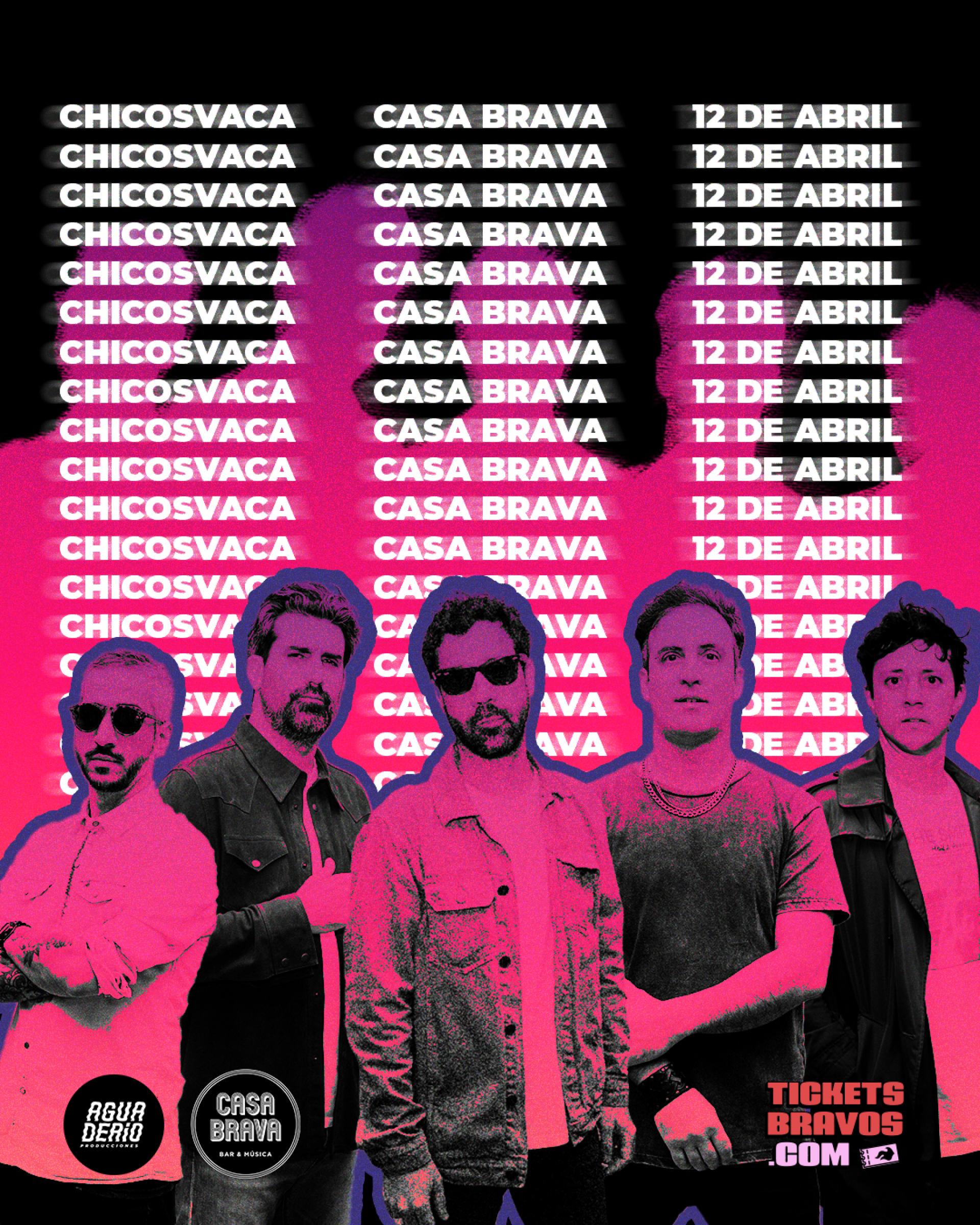 CHICOSVACA 