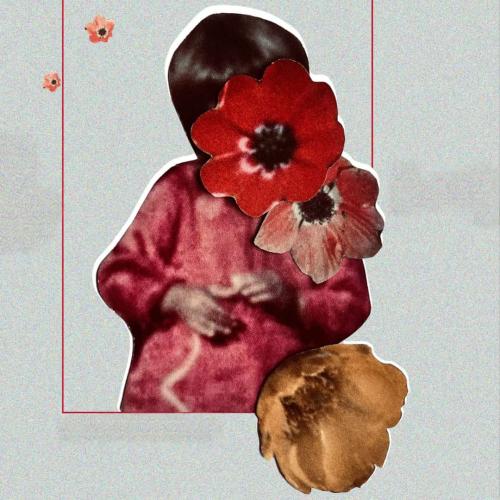 The flowers stand silently witnessing - Días de Cine Palestino 2026