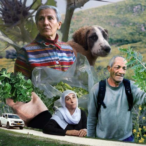 Foragers - Días de Cine Palestino 2026