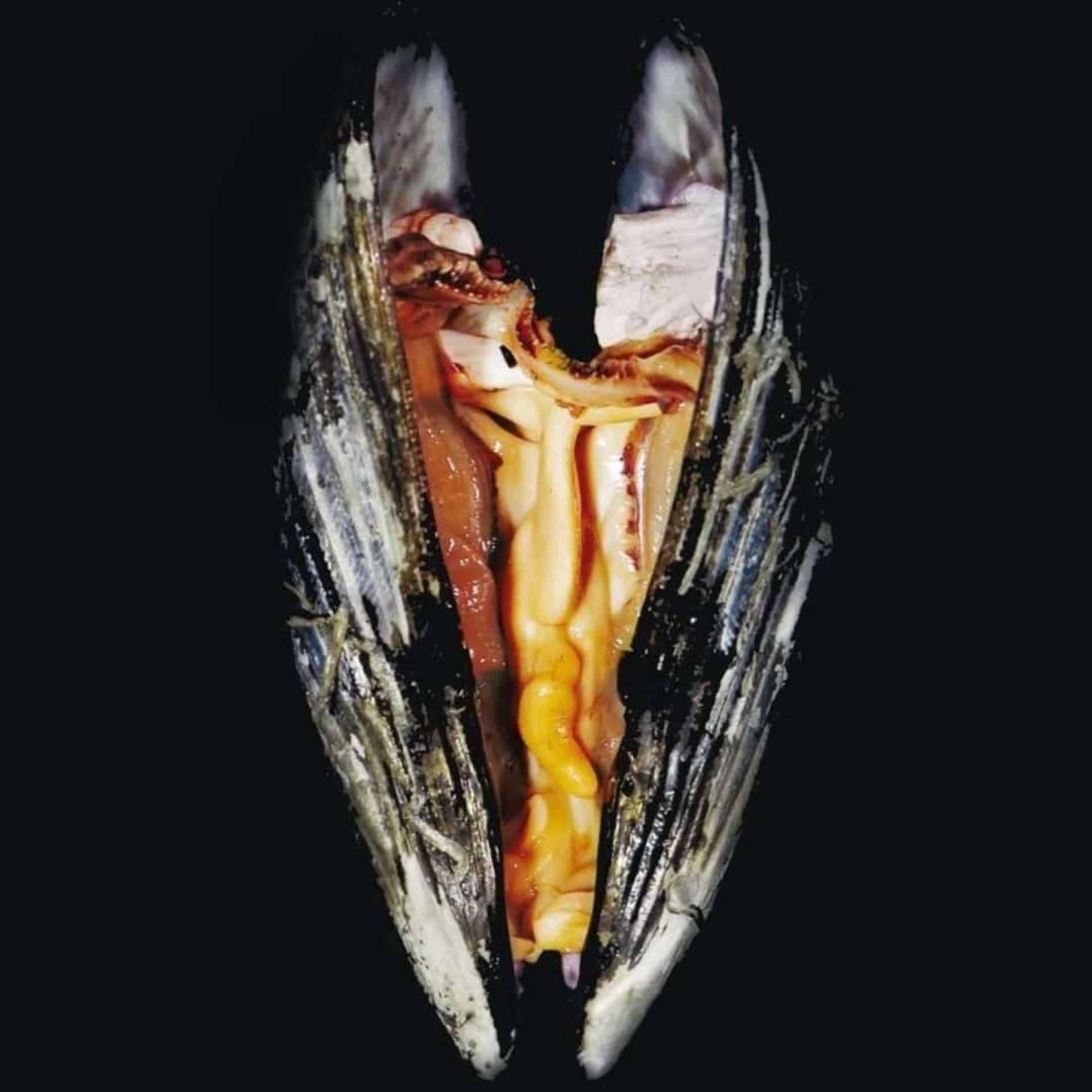 Las hijas del fuego
