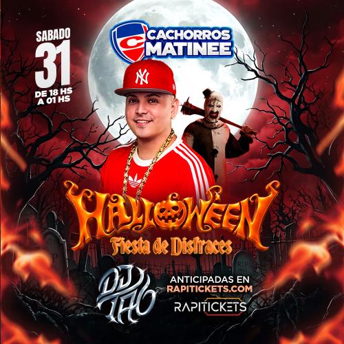 HALLOWEEN - MATENEE CACHORROS