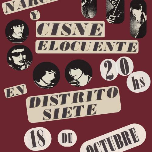 NARCISO & CISNE ELOCUENTE EN D7