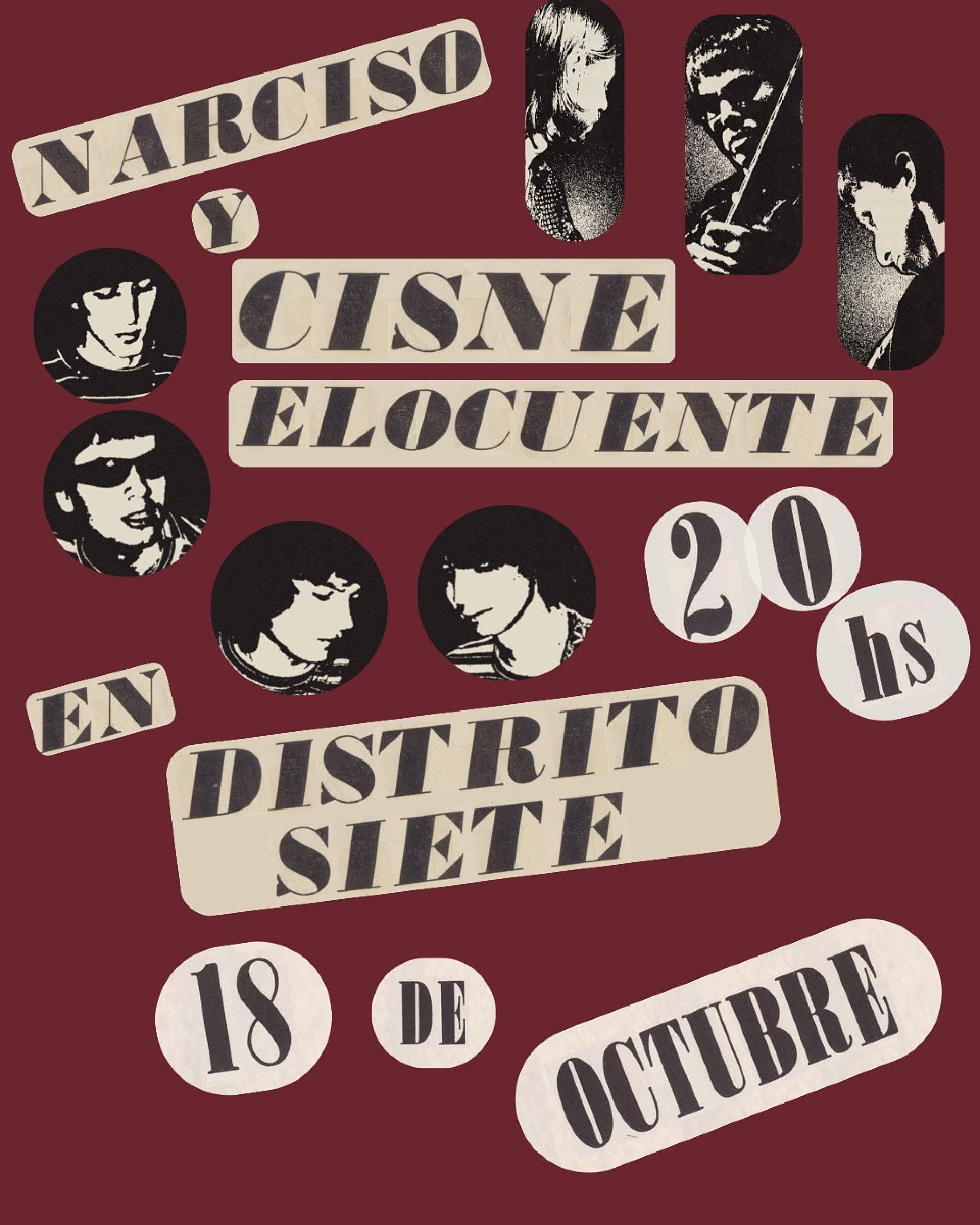 NARCISO & CISNE ELOCUENTE EN D7