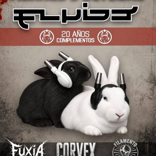 FLUIDO. 20 AÑOS DE
